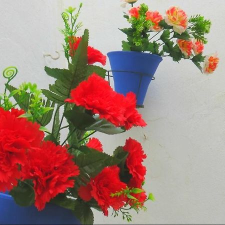 Apartamento Casa Mozarabe Kordoba Zewnętrze zdjęcie