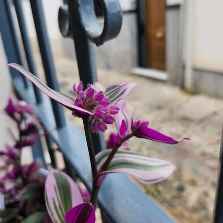 Apartamento Casa Mozarabe Kordoba Zewnętrze zdjęcie
